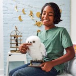 Spin Master Wizarding World Enchanting Hedwig Interactive Harry Potter Owl With Over 15 Sounds 6061829 778988397602