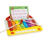Svoora Wooden Metallophone Set C Major, 8 Notes With Children Song Cardsthe Radio 14010 5208006140101