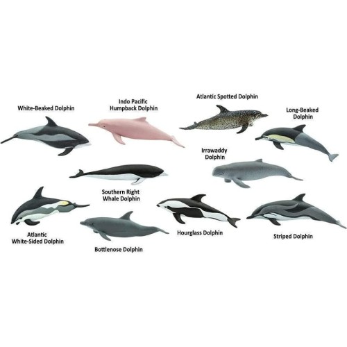 safari ltd Animal Dolphins Δελφίνια SAFA100475 095866004927