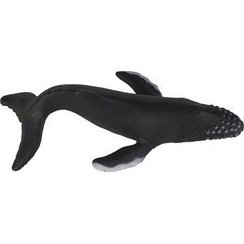 safari ltd Whales And Dolphins SAFA694704 095866694708