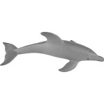 safari ltd Whales And Dolphins Φάλαινες και Δελφίνια SAFA694704 095866694708
