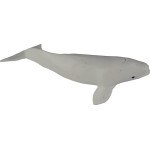 safari ltd Whales And Dolphins SAFA694704 095866694708