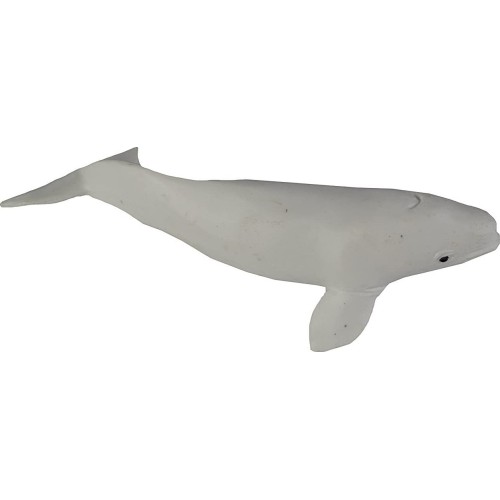 safari ltd Whales And Dolphins Φάλαινες και Δελφίνια SAFA694704 095866694708