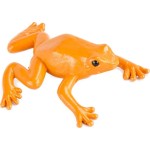 safari ltd Frogs And Turtles Βατράχια και Χελώνες SAFA694804 095866694807