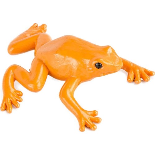 safari ltd Frogs And Turtles SAFA694804 095866694807