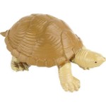 safari ltd Frogs And Turtles SAFA694804 095866694807