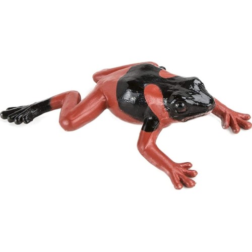 safari ltd Frogs And Turtles SAFA694804 095866694807