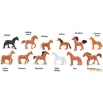 safari ltd Horses SAFA695604 095866695606