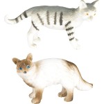 safari ltd Domestic Cats Οικόσιτες Γάτες SAFA699104 095866699208
