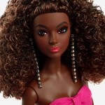 Mattel Pink Collection Deluxe HBX96 194735005079