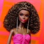 Mattel Pink Collection Deluxe HBX96 194735005079