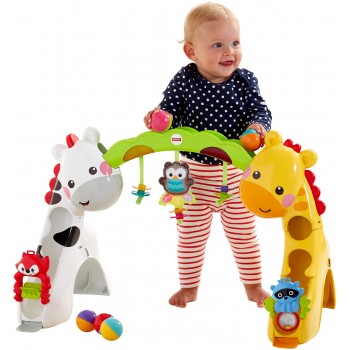 Mattel Γυμναστήριο - Ζωάκια Της Ζούγκλας CCB70 887961062557
