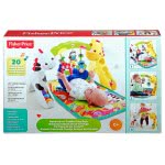 Mattel Γυμναστήριο - Ζωάκια Της Ζούγκλας CCB70 887961062557