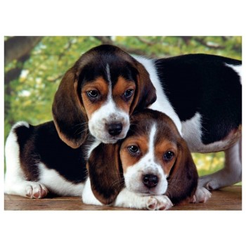 Clementoni Puzzle High Quality Collection Dogs 500 Pcs 1220-30289 8005125302895
