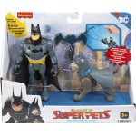 Mattel DC League of Super-pets Batman and Ace HGL01 / HGL03 194735051175