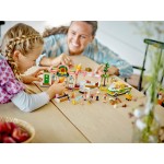 LEGO Friends Organic Grocery Store 41729 5702017415055