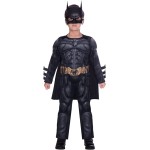 Amscan Batman The Dark Knight Size 10 9906064 192937137543