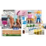 Playmobil Country Εκπαίδευση Αλόγου Ιππασίας 71242 4008789712424