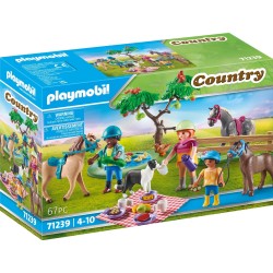 Playmobil Country Πικ Νικ Στην Εξοχή 71239 4008789712394