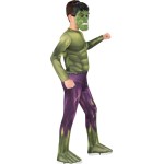 Rubies Hulk Hs Large 702025L 883028412310