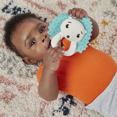 Mattel Teething Time Hedgehog   HJW11 / HKD72 194735101603