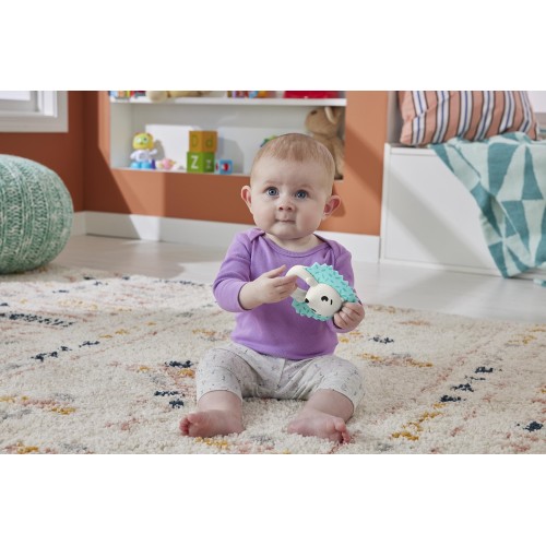 Mattel Teething Time Hedgehog   HJW11 / HKD72 194735101603