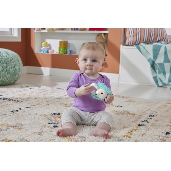 Mattel Teething Time Hedgehog   HJW11 / HKD72 194735101603