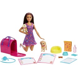 Mattel Barbie Κουταβάκια- Λατίνα HKD86 194735101764