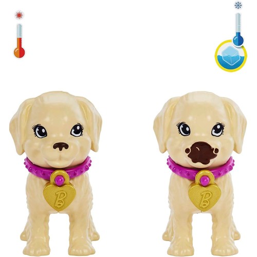 Mattel Barbie Κουταβάκια- Λατίνα HKD86 194735101764