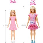Mattel Barbie Doll For Preschoolers, My First Malibu HLL19 194735114542