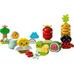 LEGO DUPLO My First Organic Garden  Construction Playset 10984 5702017416984