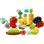 LEGO DUPLO My First Organic Garden  Construction Playset 10984 5702017416984