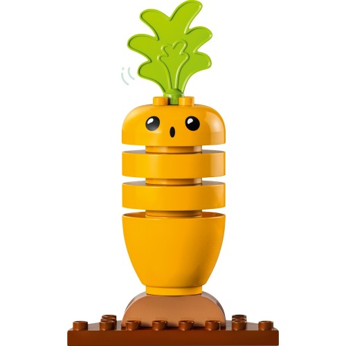 LEGO DUPLO My First Organic Garden  Construction Playset 10984 5702017416984