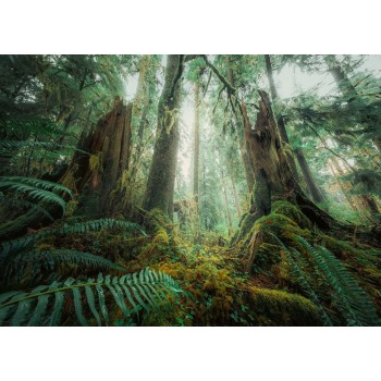 Ravensburger 1000 Pcs Puzzle Woods 17494 4005556174942