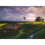 Ravensburger 500 Pcs Puzzle Bali 16991 4005556169917