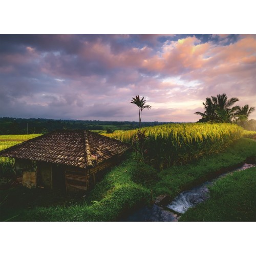 Ravensburger 500 Pcs Puzzle Bali 16991 4005556169917