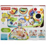 Mattel Πολύχρωμο Γυμναστήριο Με Μουσικά Όργανα DFP69 887961179118
