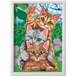 As company Paint And Frame I Paint With Numbers Funny Kitties For 9+ Year Olds 1038-41010 5203068410100