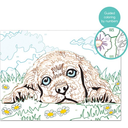 As company Paint And Frame Ζωγραφίζω Με Αριθμούς Loving Puppy Για Ηλικίες 9+ Χρονών 1038-41012 5203068410124