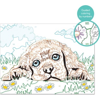 As company Paint And Frame Ζωγραφίζω Με Αριθμούς Loving Puppy Για Ηλικίες 9+ Χρονών 1038-41012 5203068410124