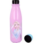 Stor Μπουκάλι Αλουμινίου 600Ml Frozen Ii Elements 530-51040 8412497510405