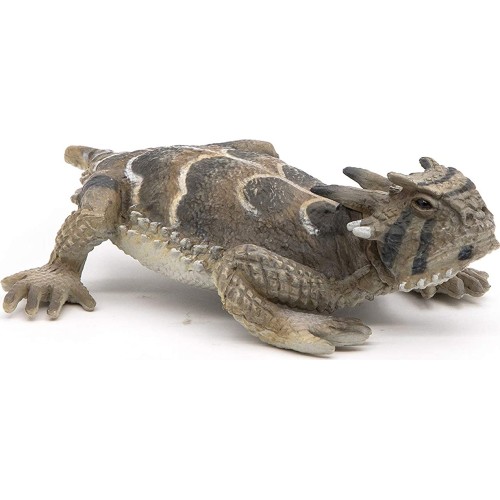 PAPO Wild Animal Kingdom Galapagos Tortoise Toy Figure