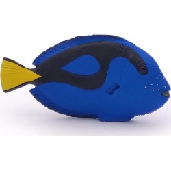 papo Marine Life Figurine,  Surgeonfish, Multicolour 56024 3465000560249