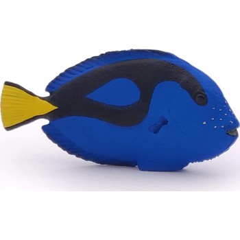 papo Surgeonfish Ψάρι 56024 3465000560249