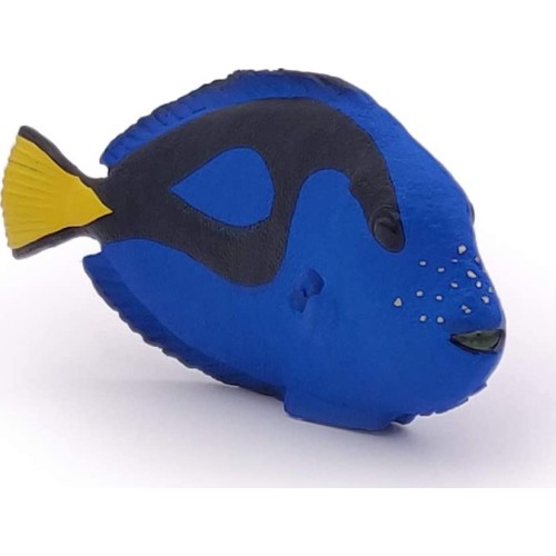papo Surgeonfish Ψάρι 56024 3465000560249