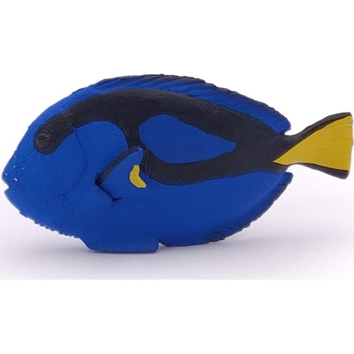papo Surgeonfish Ψάρι 56024 3465000560249