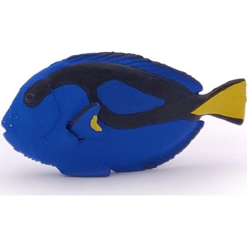 papo Marine Life Figurine,  Surgeonfish, Multicolour 56024 3465000560249