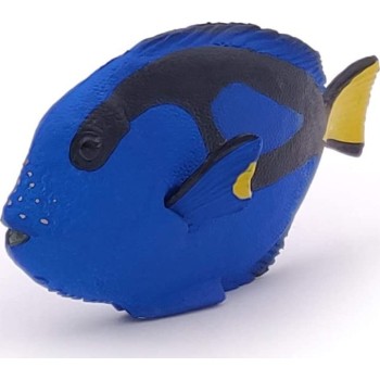 papo Surgeonfish Ψάρι 56024 3465000560249