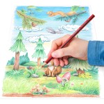 STAEDTLER Ξυλομπογιές Noris Χρωματιστές 24τμχ 187 C24 4007817037225