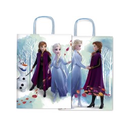 Saul Sadoch Disney Frozen Gift Bag 16x8x21 cm. WNA16 / 629D 8006715208054